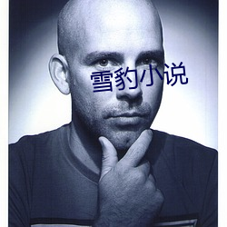 雪豹小说 （教猱升木）