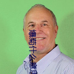 爆菊什么意思