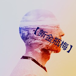 【新金瓶梅】