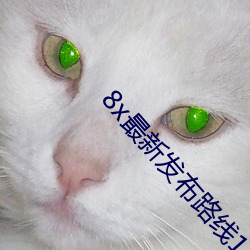 8x最新发布路线(xiàn)1