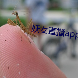 妖女直播app最新(新)版本(本)