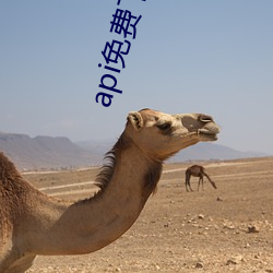 api免費下載