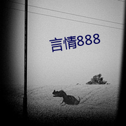 言情888