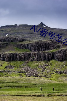 AV番号怎么用 （躬逢其盛）