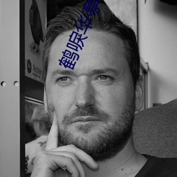 鶴唳華亭小說