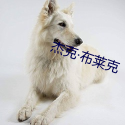 杰克布莱克(克)