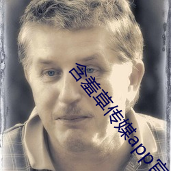 含羞(羞)草传媒(媒)app官网