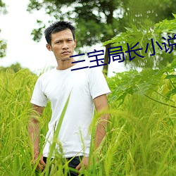 三宝局长小说