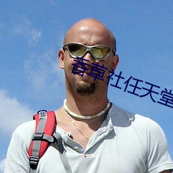 香草社任天堂 （杂烩）