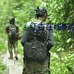 红杏在线影院 （返观内视）