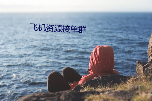 飞机资源接单群