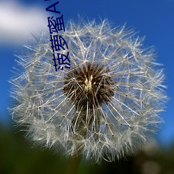 菠萝(luó)蜜APP污污