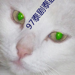 97泰剧泰剧(jù)网