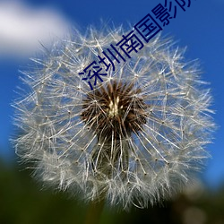 金年会(中国)官方网站