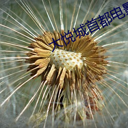 大悦城首都(都)电(電)影院