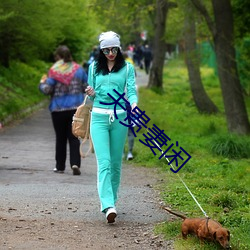 夫貴妻閑