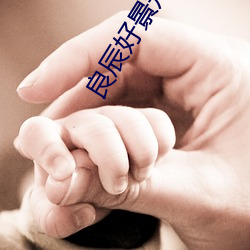 良(liáng)辰好(hǎo)景(jǐng)知(zhī)几何(hé)免费观看完