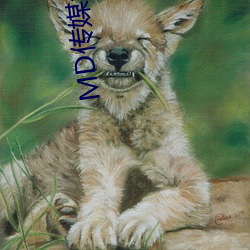 MD传媒免(免)费(費)观看在(在)线(線)