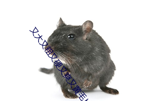 米乐M6·(中国)官方网站