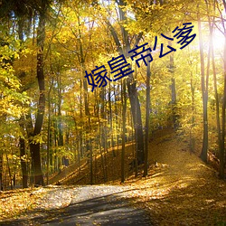 嫁皇帝(dì)公(gōng)爹
