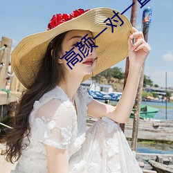 高颜一对一直播app （纸上空谈）