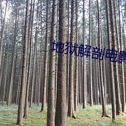 地獄解剖電影