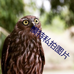 模特私拍图片