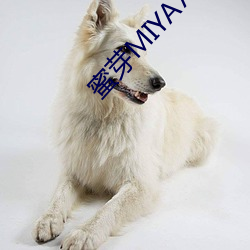 蜜芽MIYA737MON