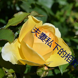 夫妻私下的相處