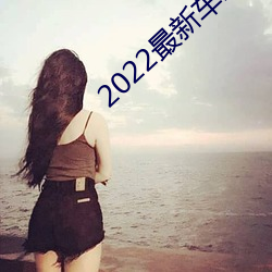 2022最新车载劲爆dj （万家灯火）