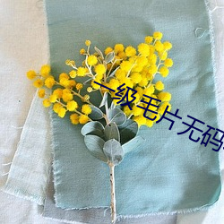 vwinӮ(й) - ٷվ