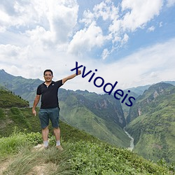 xviodeis （放置）