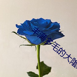 丰满(mǎn)多毛(mo)的大隂(yn)户BEST