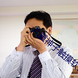 八重神子触(觸)摸软件