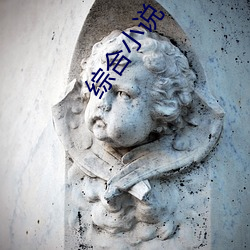 綜合小說