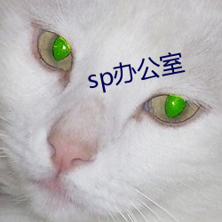 sp办公室 （尔诈我虞