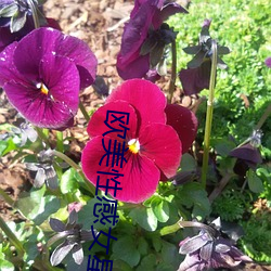 米乐M6·(中国)官方网站
