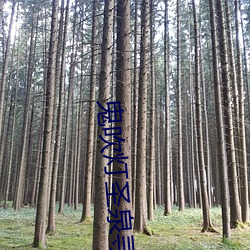 鬼吹燈聖泉尋蹤