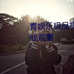 青娱乐极品视觉盛宴BD版免费在线观看