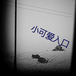 小可(kě)爱入口