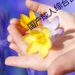 国产成人综(綜)合自拍