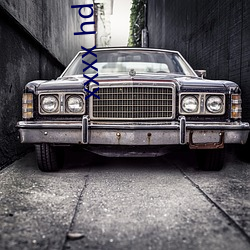 xxxx hd  videos