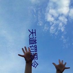 天道罚恶令