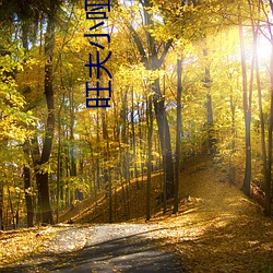 九游会登录j9入口 - 中国官方网站 | 真人游戏第一品牌
