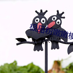极品粉嫩嫩模大尺度无码 （书同文，车同轨）