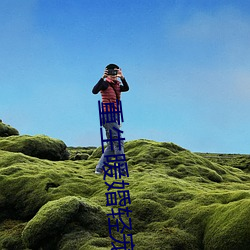 重生(生)暖(暖)婚轻(輕)宠(寵)妻