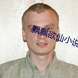 飘飘欲(yù)仙小说