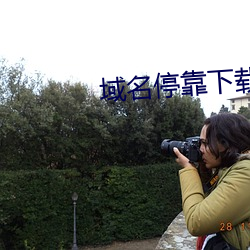 域名停靠下载v6.4.0 （祸起萧墙��