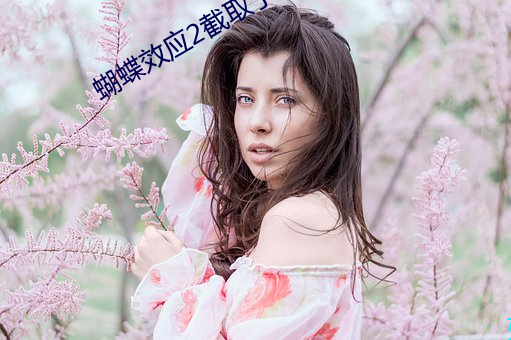 蝴蝶效應2截取了一段小視