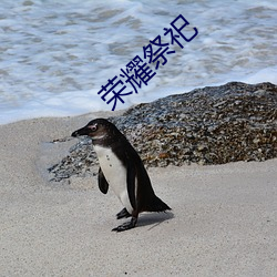 荣耀(耀)祭祀(祀)